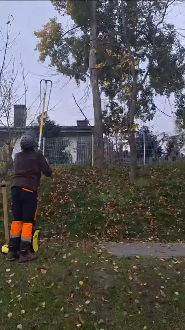 Baumarbeiten vom Boden aus
